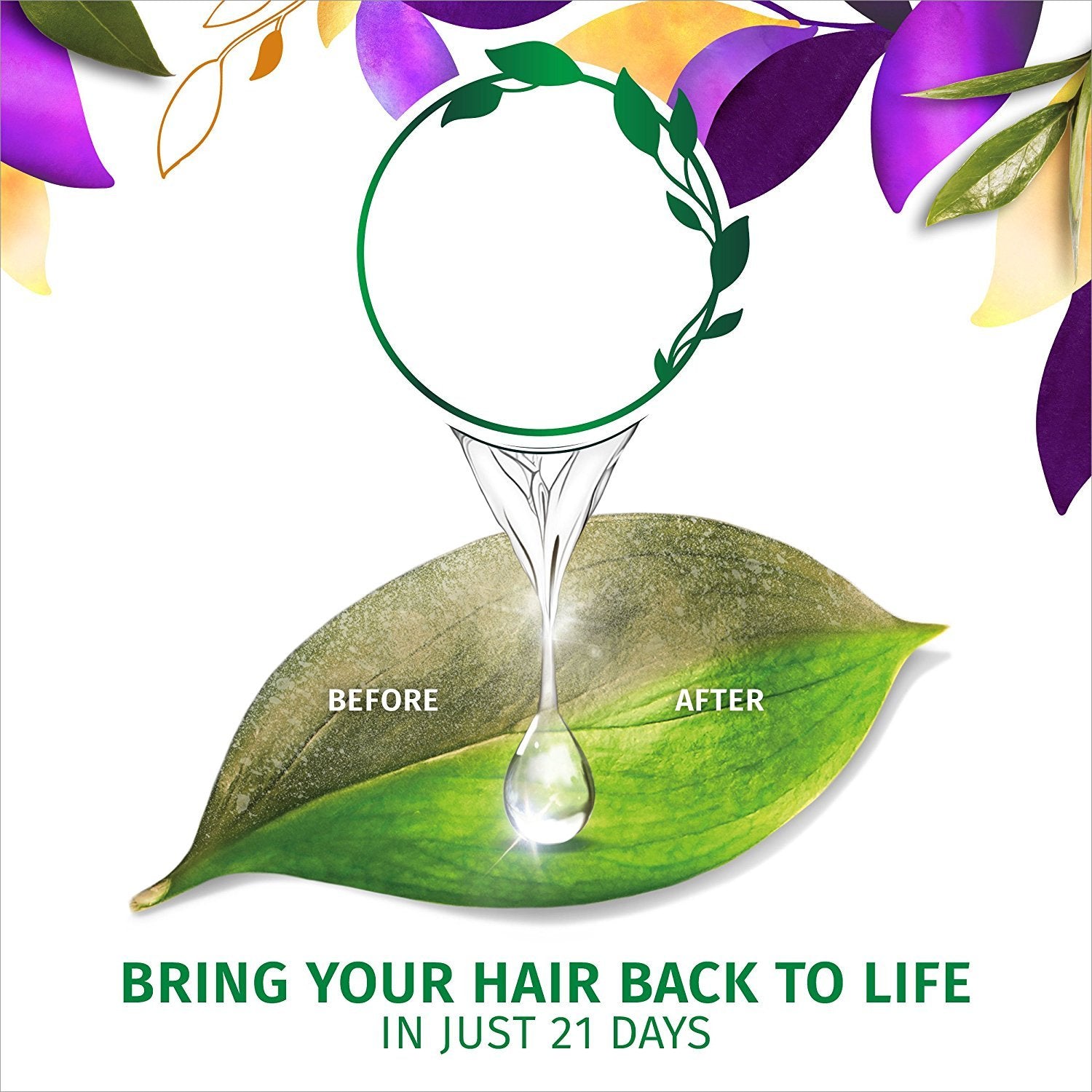 Herbal Essences Bio Renew Haircare - Naked Volume - White Grapefruit & Mosa Mint - Shampoo & Conditioner Set - Net Wt. 13.5 FL OZ (400 Ml) per Bottle - One Set