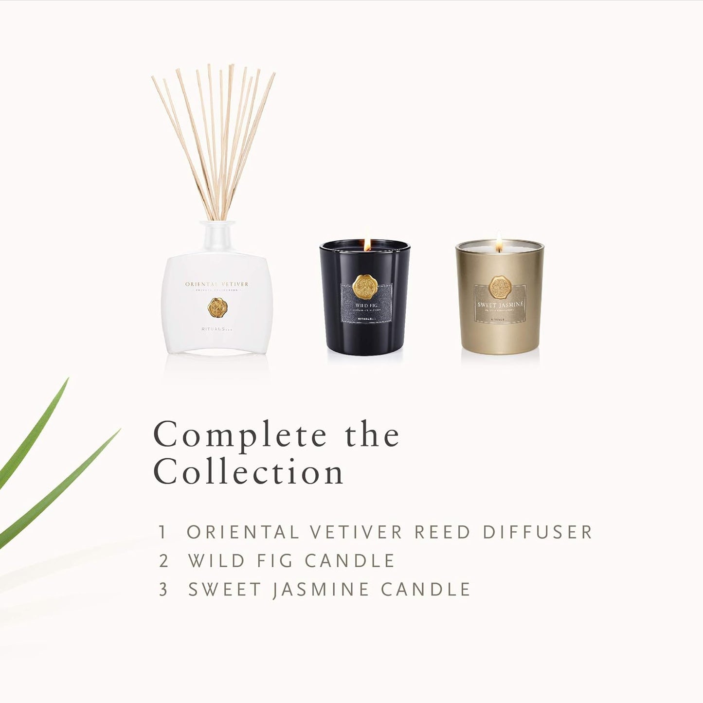 Oriental Vetiver Scented Candle 12.7 Ounce, 12.7 Oz.