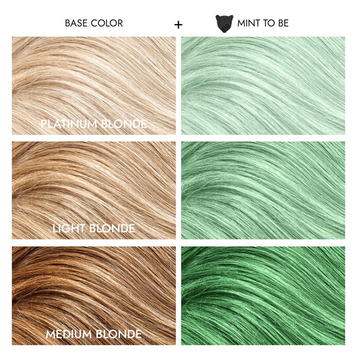 Mint to Be Semi Permanent Conditioning Hair Color, Repairs and Rejuvenates Hair, All Hair Types and Textures, Vegan, Cruelty-Free, Gluten-Free, 8 Fl. Oz.