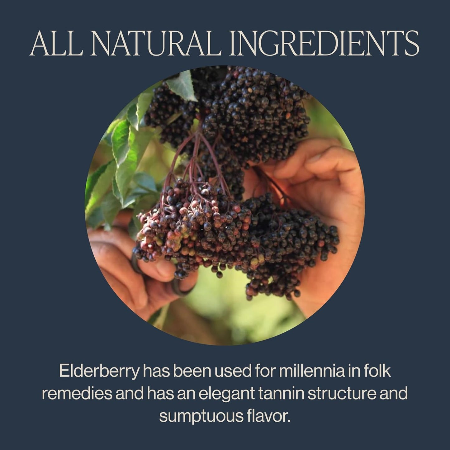 Elderberry Healer Herbal Tea | USDA Organic Direct Trade Sachet Tea Bags, Certified Kosher, Caffeine Free Elderberry with Ginger Root, Hibiscus Flowers, & Licorice Root | 15 Count (Pack of 1)
