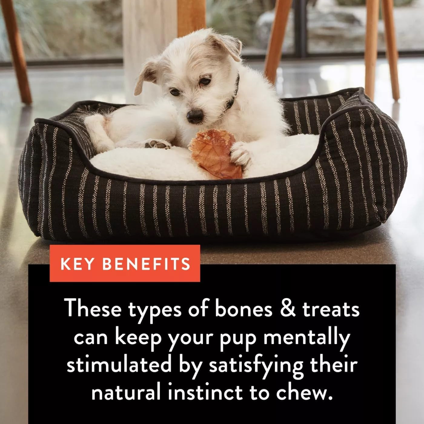 Nature'S Chews Full Pig Ear Dog Chews
