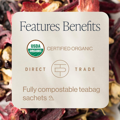 Elderberry Healer Herbal Tea | USDA Organic Direct Trade Sachet Tea Bags, Certified Kosher, Caffeine Free Elderberry with Ginger Root, Hibiscus Flowers, & Licorice Root | 15 Count (Pack of 1)