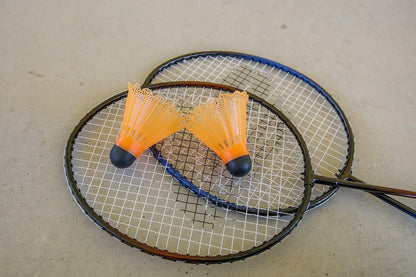 Triumph 2-Player Badminton Racket Set